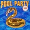 Pool Party 1998 (feat. DJ Flula) - Ivan and Peter, Alaska Thunderfuck & Gazzo lyrics