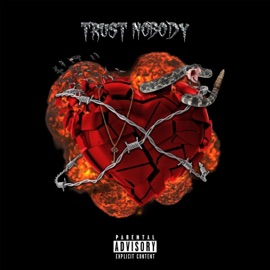 Trust Nobody (feat. Bryso & NoFiction) 808GANG