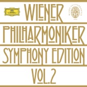 Symphony No. 7 in Major, Op. 105: 2 Bars Before: Vivace - Presto - Poco a poco rallentando all' Adagio - Largamente molto - Affettuoso - Tempo I artwork