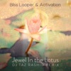 Jewel in the Lotus (DJ Taz Rashid Remix) - Single