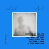 Hugo Helmig - Curtains of My Life