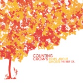 Counting Crows - Einstein On The Beach (For An Eggman)