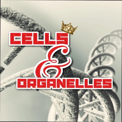 Cells and Organelles - Single