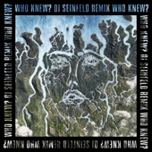 Who Knew? (DJ Seinfeld Remix) artwork