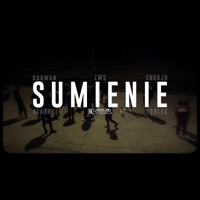 Sumienie (feat. Karwan, ŻWC, Azann & Youlek) - Single - Endrju