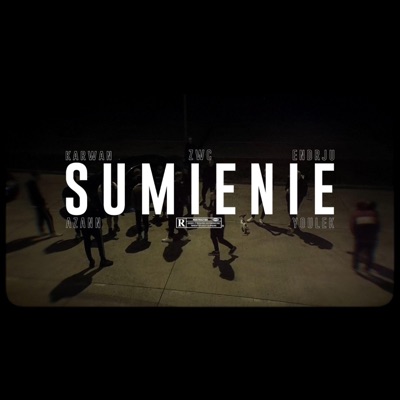 Sumienie (feat. Karwan, ŻWC, Azann & Youlek) - Single