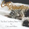 Whiskers - RelaxMyCat, Cat Music Dreams & Cat Music Therapy lyrics