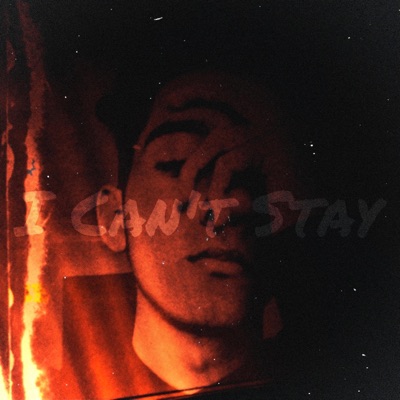 I Can't Stay - Single
