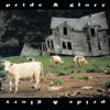Pride and Glory - Losin' Your Mind