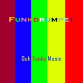 Ouh Funky Music (Instrumental) artwork