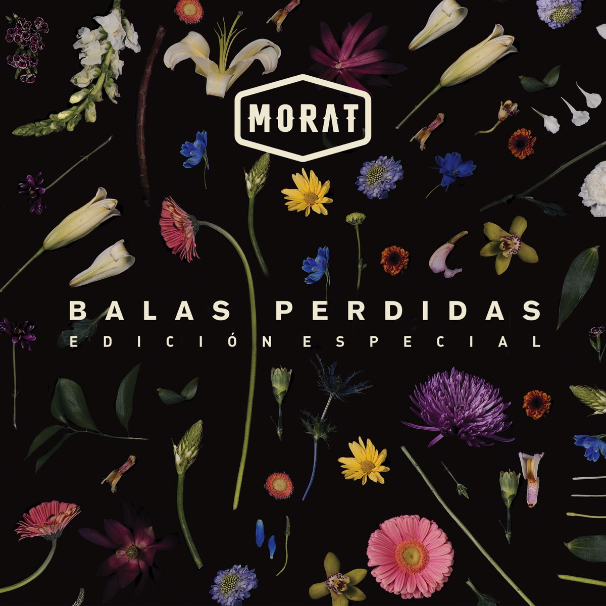 Balas Perdidas (Edición Especial) de Morat en Apple Music