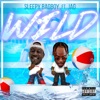 Wild (feat. Jag) - Single