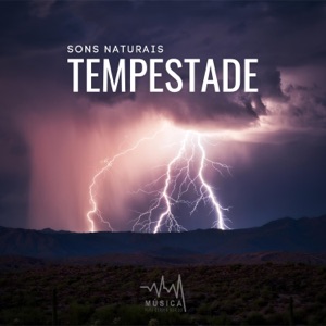 Sons Naturais: Tempestade