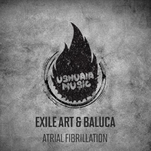 Atrial Fibrillation - EP