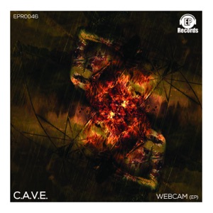 Webcam - Single