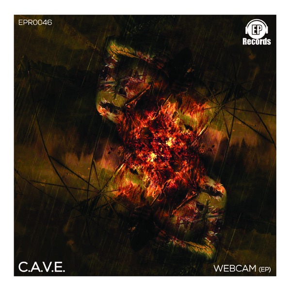 Webcam - Single
