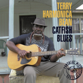 Catfish Blues - Terry "Harmonica" Bean