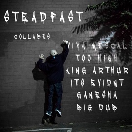 Problems (feat. Too High) Steadfast Raw