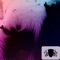 WildBeauty - Rijo Beats lyrics