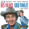 22 Best of the Best (Re-Recorded Versions) - Sheb Wooley