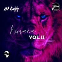 Nirvana Vol.2 - Single - Dj Galfly