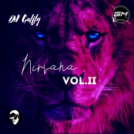 Nirvana Vol.2 Dj Galfly