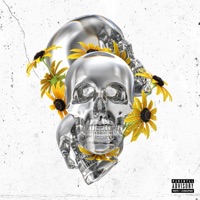 You Gotta Chill (feat. Laady J) - Single - Dare Toran