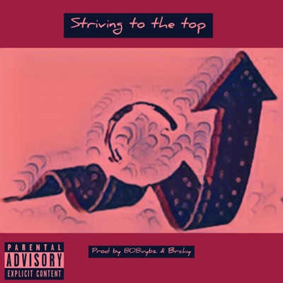 Striving to the top (feat. 808vybz & Brchy) - Single