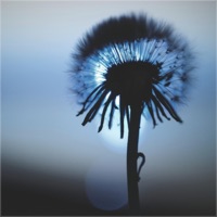 Existence - EP - Nomyn