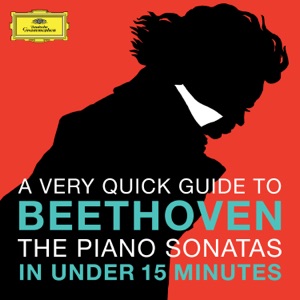 Beethoven: The Piano Sonatas in Under 15 Minutes