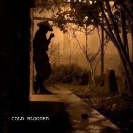 Cold Blooded (feat. Sam Cyph & Baqi) Kareezy