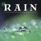Stress Relief - Healing Rain Sound Academy lyrics