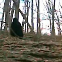 antichrist (feat. Wido) - Single - funeral