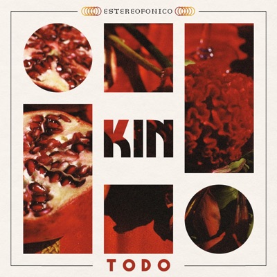 Todo - Single