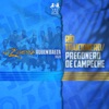 Río Traicionero / Pregonero de Campeche - Single