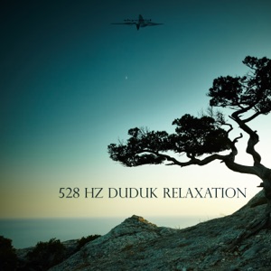 528 Hz Duduk Relaxation (feat. 432 Hz Sound Therapy) - EP