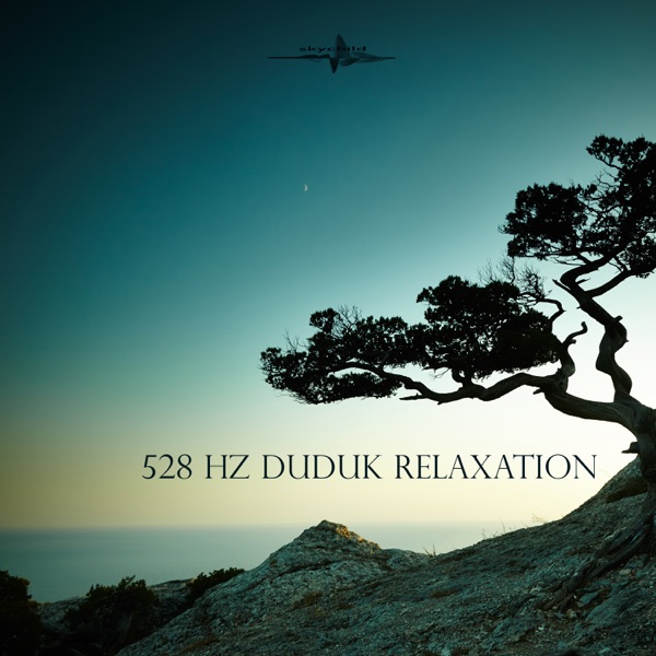 528 Hz Duduk Relaxation (feat. 432 Hz Sound Therapy) - EP