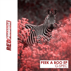 Peek a Boo - Single