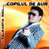 Sorin Copilul de Aur - Bruneto... Bruneto