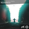 Meanwhile - Single