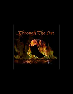 SoulPhreshを聴いたり、ミュージックビデオを鑑賞したり、経歴やツアー日程などを確認したりしましょう！