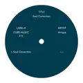 Soul Correction