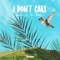 I Don't Care (feat. Tim Riehm) artwork