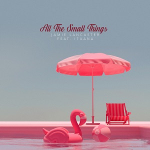 All the Small Things (feat. Ituana)