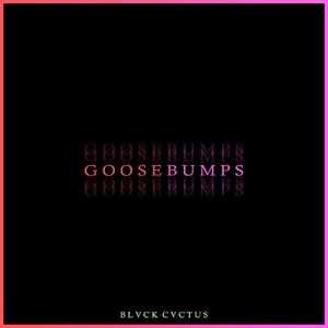 JVLA Goosebumps
