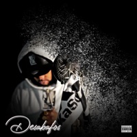 Desabafos - Piri_bxd