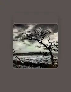 Harmonycx: песни, клипы, биография, даты выступлений и многое другое.