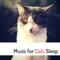Whiskers - Pet Care Relaxing Companion lyrics