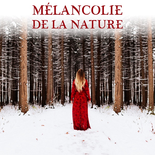 Mélancolie de la nature: Détente avec des sons de la forêt et de l'océan, musique de relaxation zen