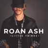 Roan Ash - Little Things artwork